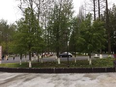 -黄海国家森林公园