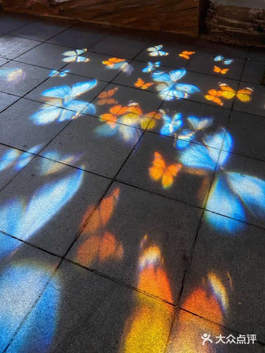 大连森林动物园图片