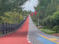 -上海长兴岛郊野公园