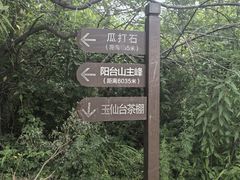 -阳台山自然风景区