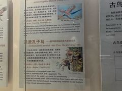 -辽宁古生物博物馆