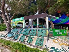 -芦仙山景区-飞越丛林探险乐园