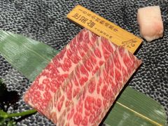 -虎哥六韩式烤肉料理 TIGERGRILL(隆生金山湖中心购物广场店)