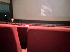 -万达影城(长沙婚庆公园中国巨幕店)