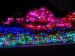 -昆山城市生态森林公园