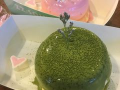 -狐狸和向日葵(北京路店)