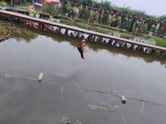 -同銮特种养殖场·龙虾垂钓