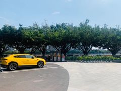 -星巴克臻选(广州二沙岛文立方店)