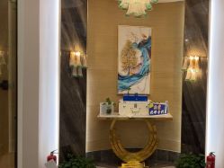 -雅曼妮spa美容养生