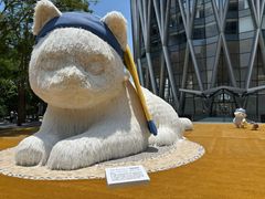 -深圳湾万象城(南山店)