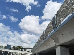 -大队长大灶鹅