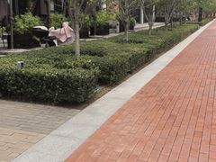 -风渡嘉荷西餐厅 Windy City(西三旗金隅店)