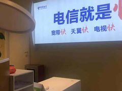 -中国电信(人民路营业厅)