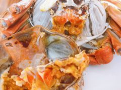 -宾湖农庄·农场特色(太湖龙之梦店)