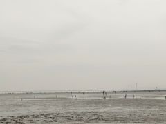 -南汇嘴观海公园