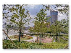 -香荟Aroma·外滩茂悦大酒店