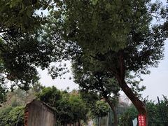 -青龙山国家森林公园