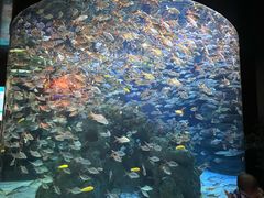 -成都浩海立方海洋公园