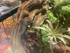 -夜幕浸入式超级密室(望京店)