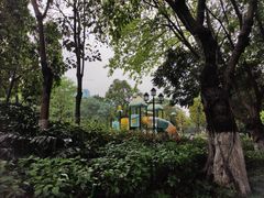 -映月湖公园
