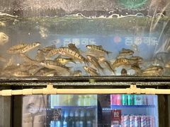 -小乡小镇·传承桐庐土菜·老板亲自烧的菜