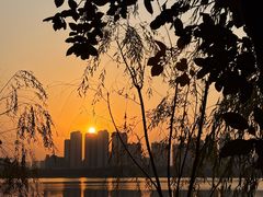 -艾溪湖湿地公园