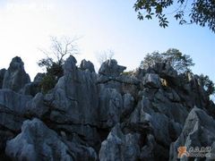 -千岛湖石林