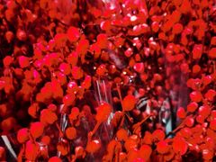 -盒马鲜生(189购物中心店)