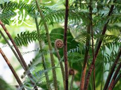 -国家植物园南园