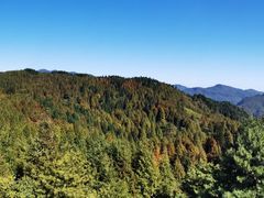 -山王坪喀斯特国家生态公园