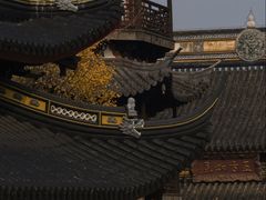 -西林禅寺