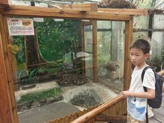 -上海昆虫博物馆