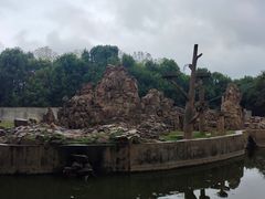 -合肥野生动物园