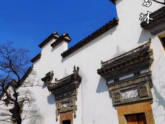 -广富林郊野公园
