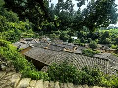 -杨家堂村