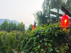 -慢丽江·云南野生菌土鸡锅(西山店)