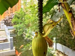 -羊楼洞