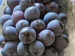 -马陆小张葡萄园农家乐