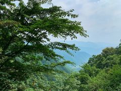 -王顺山国家森林公园