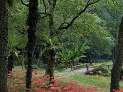 -杭州植物园