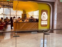 -油梨树AVOCADO TREE(望京店)