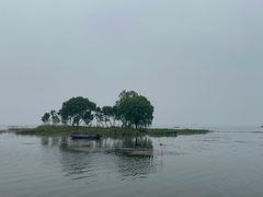 -微山湖红荷湿地景区