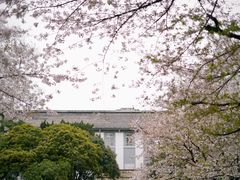 -武汉大学-樱园