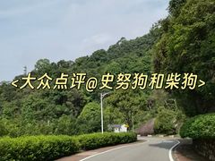 -火炉山森林公园