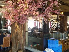 -大树头·花园餐厅(市桥店)