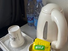 -观旗宾馆(北京天安门广场店)