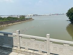 -大湾区中央湿地公园
