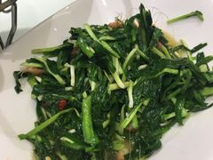 韮菜炒河虾-善银私房菜馆(金舟花园小区店)