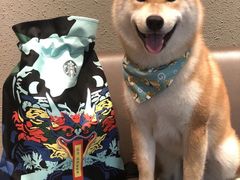 -星巴克臻选(郑州中原万达店)