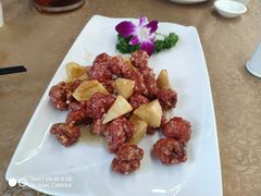 -豐柏轩食府